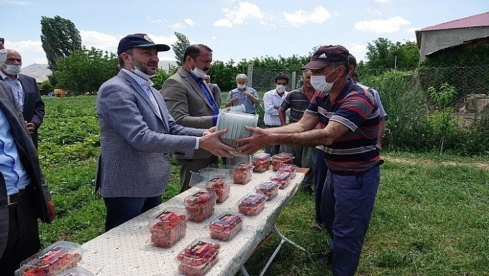 Çilek Üreticilerine Ambalaj Desteği