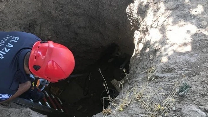 Definecilerin açtığı kuyuya düşen köpek kurtarıldı