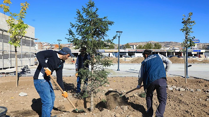 Doğu Park'ta sona doğru