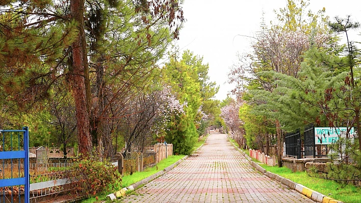 Elazığ Belediyesi'nden mezarlık alanlarında bayram hazırlığı