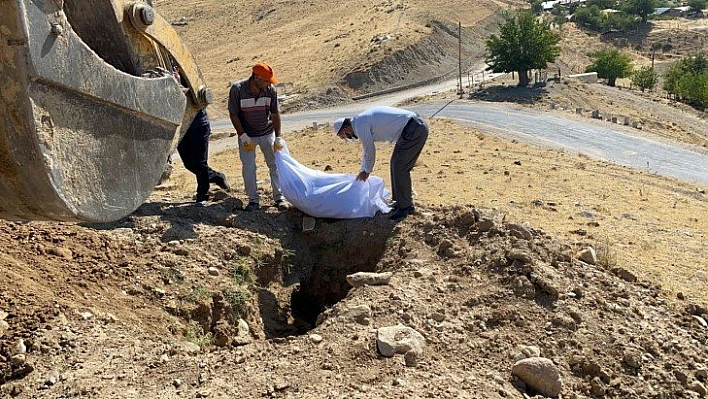 Elazığ'da etrafa saçılan kemikler toplanıp kefenlendikten sonra yeniden defnedildi
