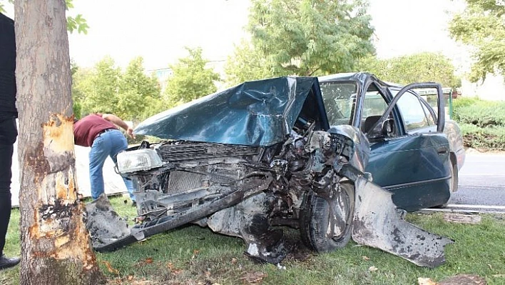 Elazığ'da otomobil ağaca çarptı: 1 yaralı