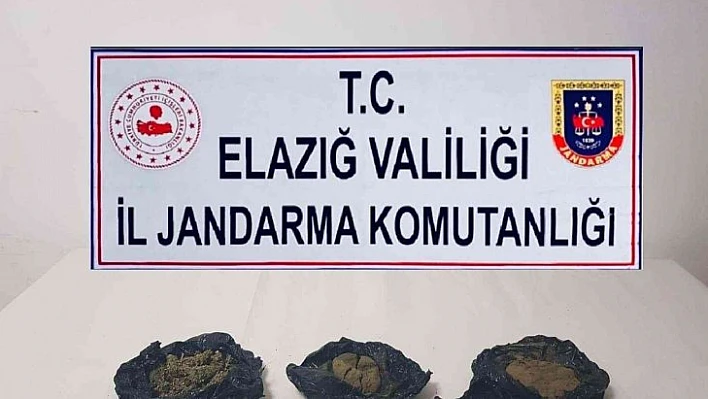 Elazığ'da uyuşturucu operasyonu: 2 gözaltı