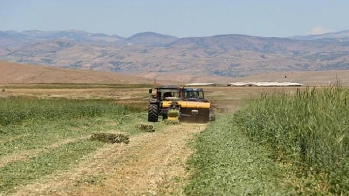 Elazığ'da 14 Bin dekarda kaba yem hasadı başladı