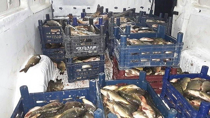 Kaçak Avlanan 450 Kg Balık Sosyal Yardım Kuruluşlarına Bağışlandı