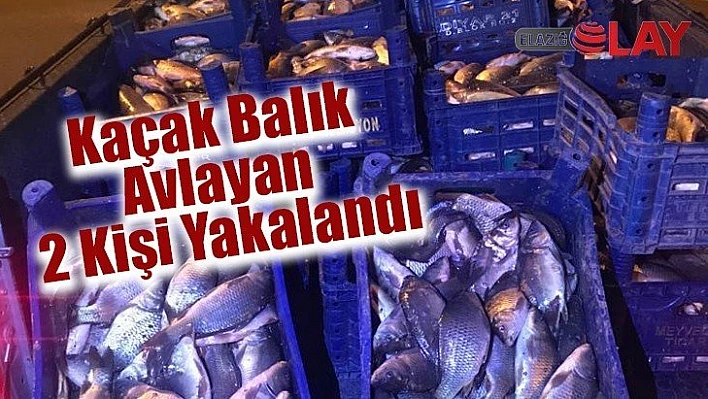 Kaçak Balık Avlayan 2 Kişi Yakalandı