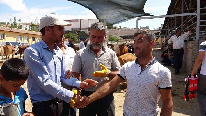 Kurban pazarında pazarlıklar kızıştı