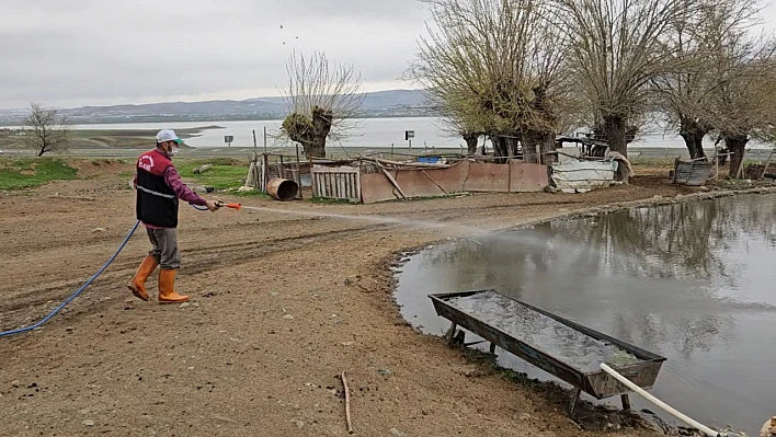 Larva ilaçlama çalışmaları devam ediyor