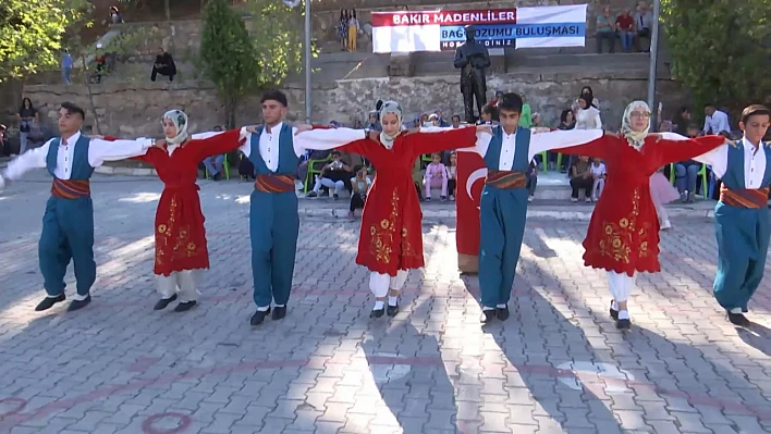 Maden'de Bağ Bozumu Şenliği düzenlendi