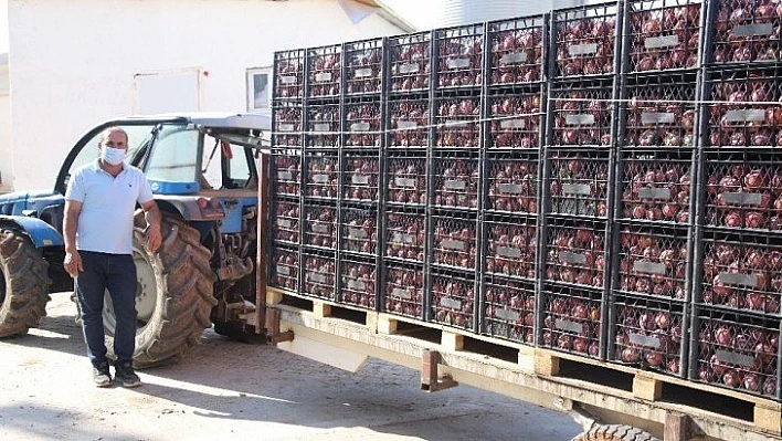 Memurluğu bıraktı, modern tarımla kendi işinin patronu oldu