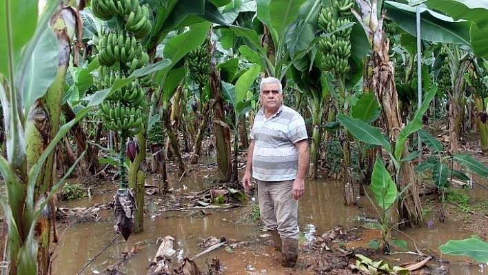 Mersin'de tarla ve seraları su bastı
