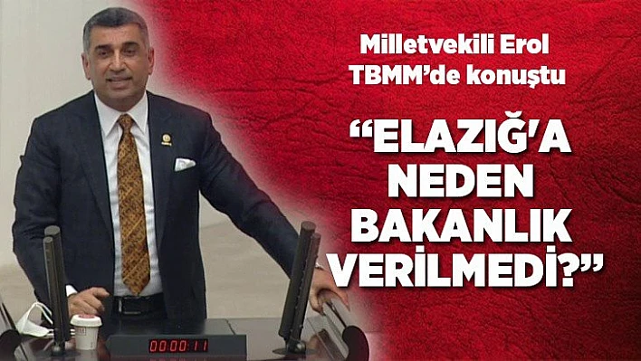 Milletvekili Erol TBMM'de konuştu