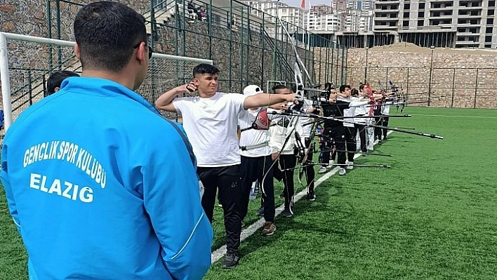 Okçulukta hedef, olimpiyatlar