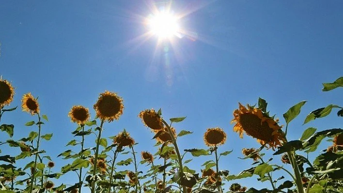 Meteoroloji'den sıcak hava uyarısı