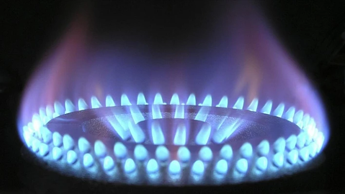 Ücretsiz doğal gaz için devlet ne kadar ödedi?