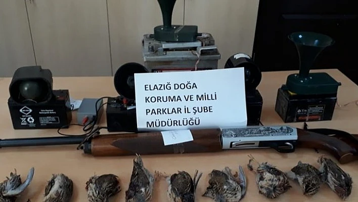 Usulsüz avlanan 2'si yabancı uyruklu 8 şahıs yakalandı