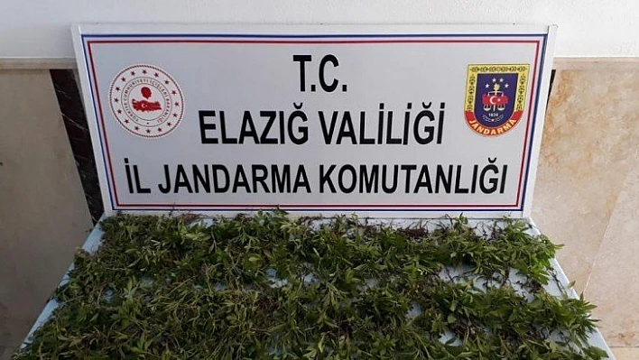Uyuşturucu kaçakçılarına şok baskın