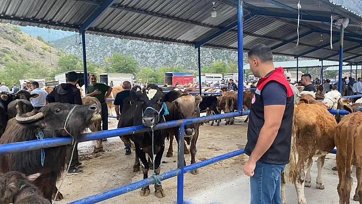 Uzun bir aranın ardından 'Elazığ Hayvan Pazarı' açılıyor