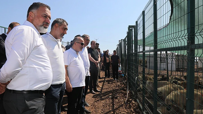 Vali Hatipoğlu'ndan Sokak Hayvanları Geçici Barınma Alanına ziyaret