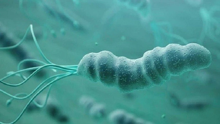 Vücudunuzdaki gizli tehlike: Helikobakter pilori