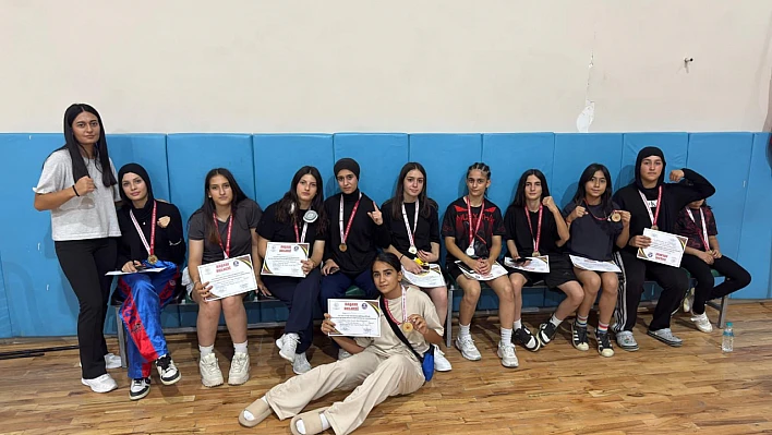 Wushu Kung Fu Bölge Şampiyonası'nda Elazığ rüzgârı