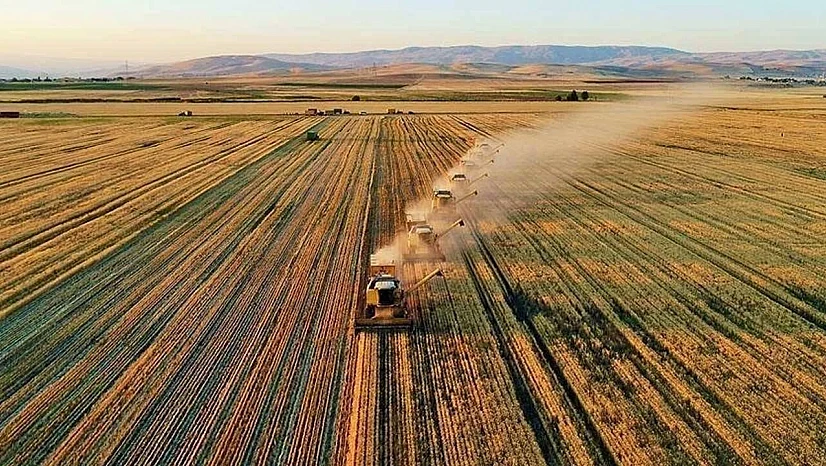 Son başvuru tarihi 31 Aralık