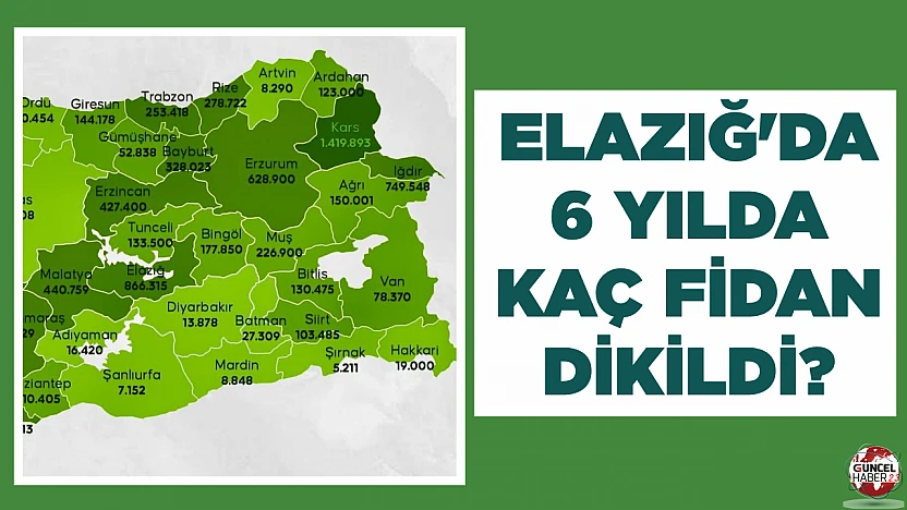 ELAZIĞ'DA 6 YILDA KAÇ FİDAN DİKİLDİ?