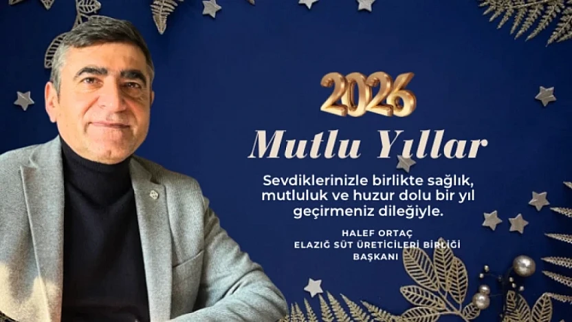 yeni yıl