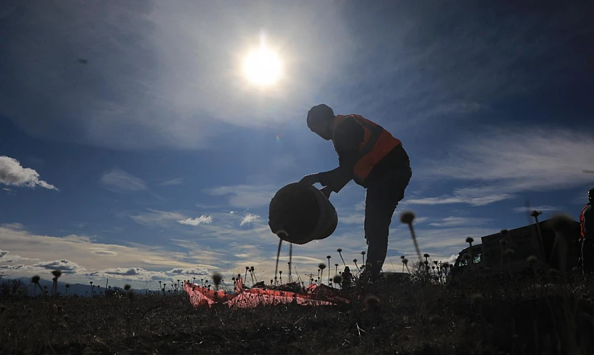 Elazığ Belediyesi doğaya yem bıraktı