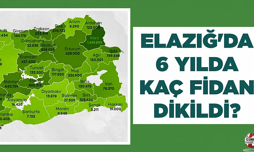 ELAZIĞ'DA 6 YILDA KAÇ FİDAN DİKİLDİ?