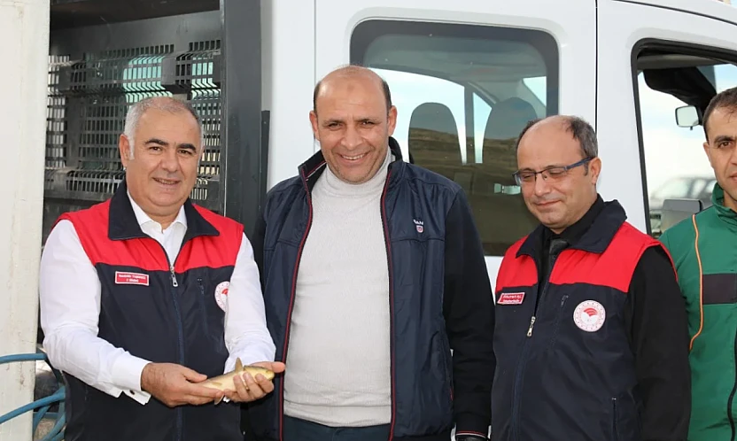 Kalecik Baraj Gölüne sazan bırakıldı