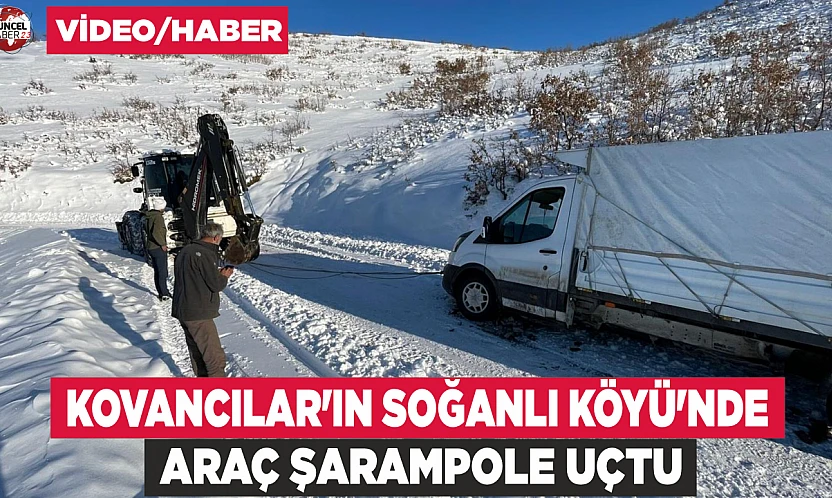 Kovancılar'ın Soğanlı Köyü'nde hayvan taşıma aracı devrildi