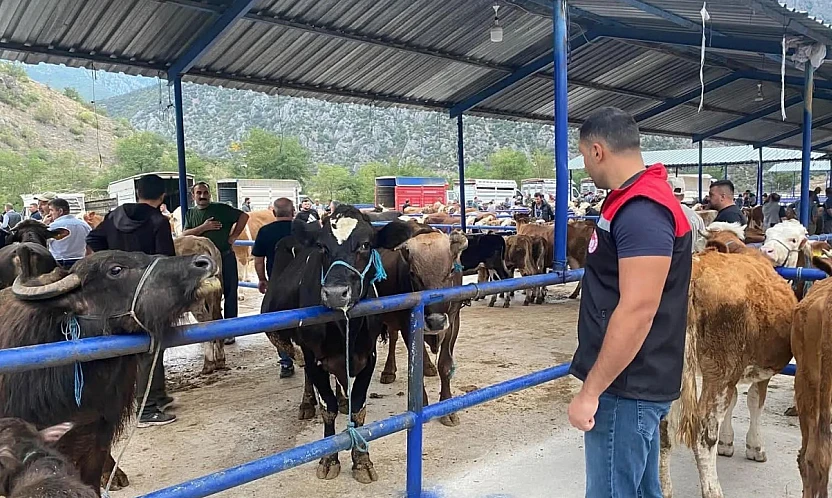 Uzun bir aranın ardından 'Elazığ Hayvan Pazarı' açılıyor