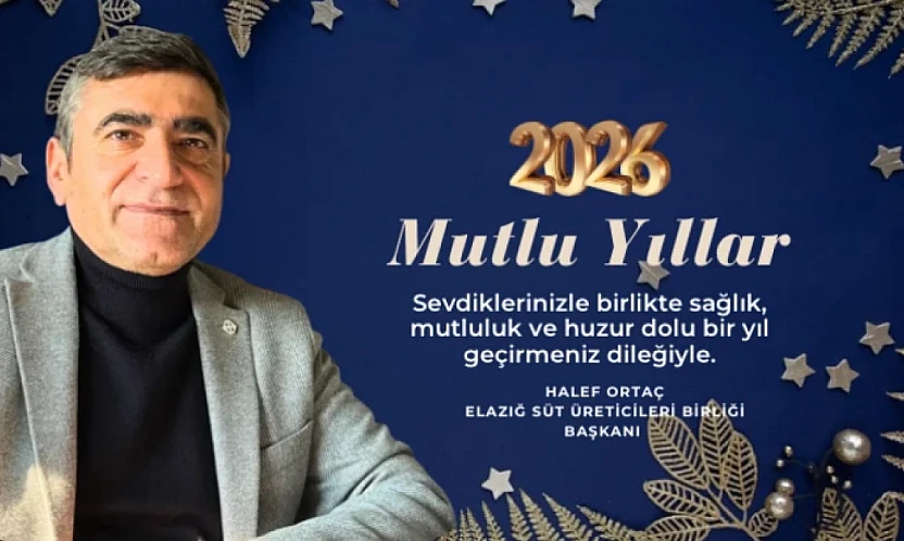 yeni yıl