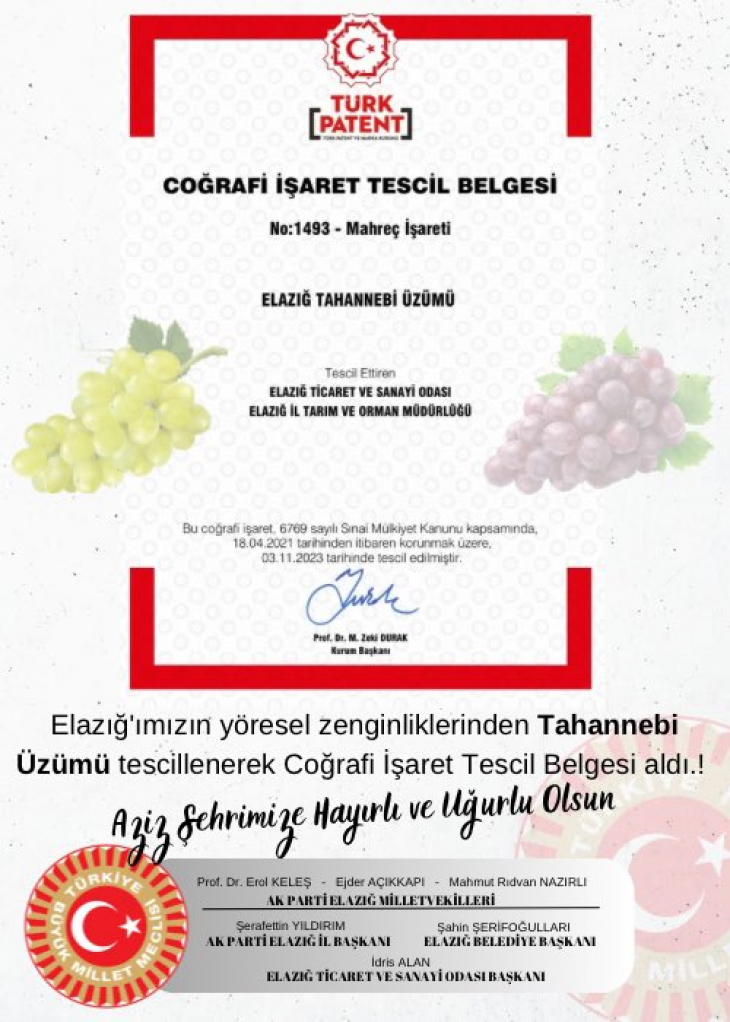 Tahannebi Üzümü Coğrafi İşaret Belgesi aldı 